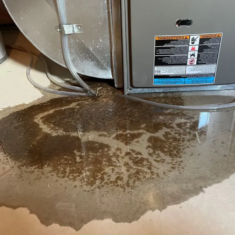 Pipe Burst and Leak Restoration in Fort Smith, AR